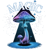 Magic mushroom in starlight