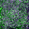 pixel distortion I