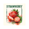Strawberry Fruit Yummy Gift