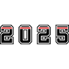 2025 year