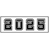 2025 year