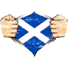 Drapeau de l’Écosse utilisé