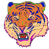 Conception du tigre