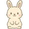 Mignon bébé lapin