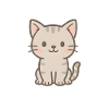 Mignon bébé chat