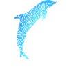 Design Dolphin Dolphins Gift