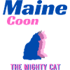Puissance et force Maine Coon