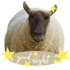 sheep good night