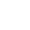 Jack Russell Terriers - Dog