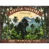 Gorilla Trekking Uganda–Bwindi Abenteuer