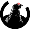 Birkhahn