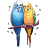 Budgies