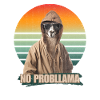 NO PROBLLAMA GRAPHIC HOODIE
