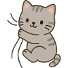 Dear little kitten