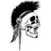 Indian Skull Outlaw