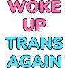 Woke up trans igen - trans pride