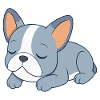 Blue French Bulldog Sleeping