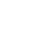 Fox Portrait