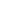 Majestic Lion Portrait Motif