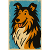 Rough Collie 1