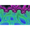 Luminous currents