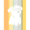 Pug Fur