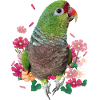 Wine parrot