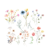 Boho Wildflowers