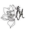 Yoga Lotus