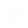 Lotus Yoga