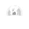 Dicton de judo