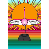 Spread your wings and fly
