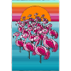 Flamingosssss