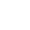 Mystical Wolf Portrait Motif