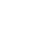 Limited Edition Est 1966