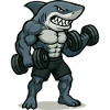 Shark Fitness
