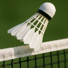 Badminton - ball over net