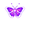 Fibromyalgia Fibro
