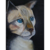 Blue eyes