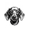 Warning Dog Dachshund Gift