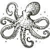 Oktopus