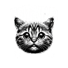 Avertissement chat Kitty Cadeau
