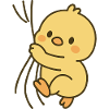 Dear little chick