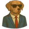 Dog in a suit