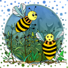Insects