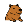 Funny Capybara Design