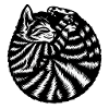 Cat Cat cute