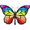 Rainbow pride butterfly
