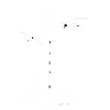 Leuchtturm von Amrum mit Möwen
