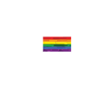 PROTECT THE DOLLS flag small